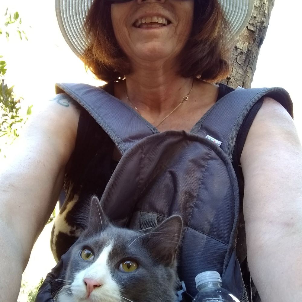 Meet your Posher, Ellen